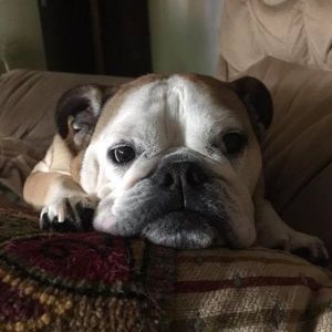 Meet your Posher, Nancy